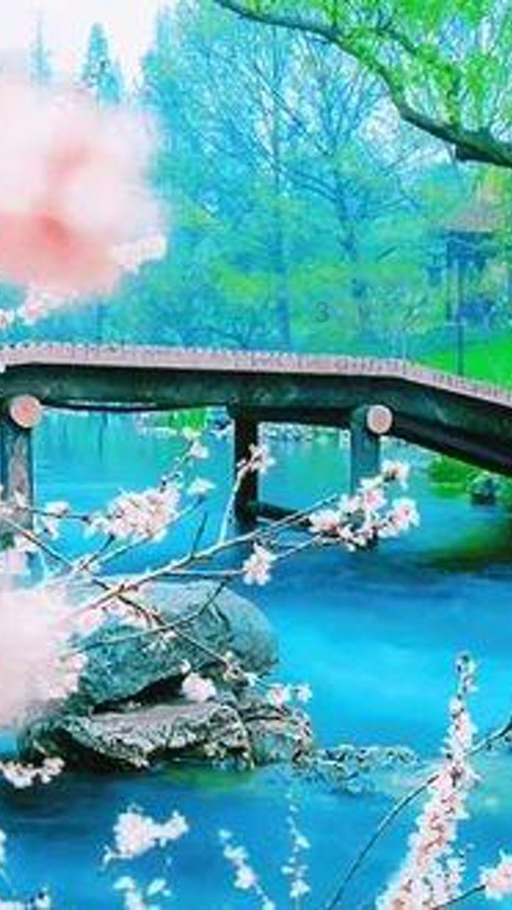 杨卫磊老师行楷书法之百二秦关终属楚游戏画面